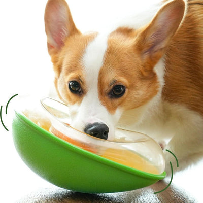 Why the Anti-Tumble Avocado Feeding Bowl Is a Game-Changer for Pets